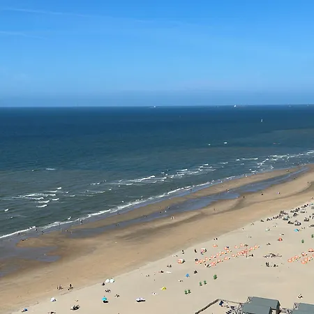 Palace 4* Zandvoort